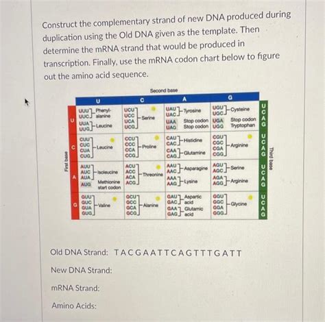 Image result for How to Make DNA Complementary Strands
