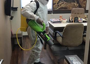3 Best Pest Control Services in Varanasi - Expert Recommendations