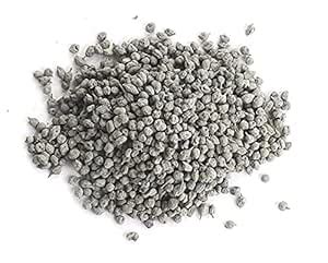 A D Food & Herbs Organic Dried Ker /Capparis Decidua (Rajasthani ...