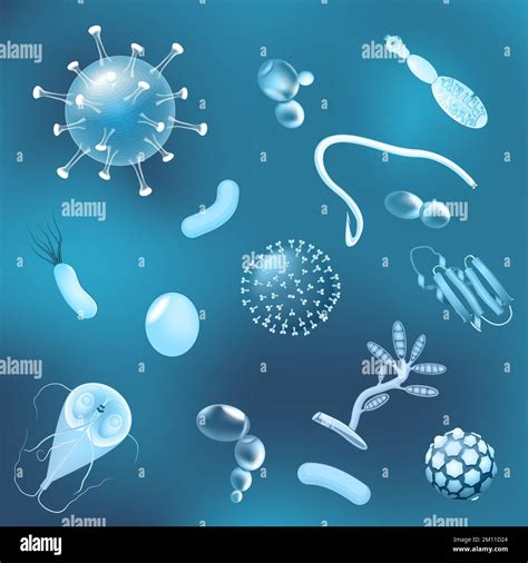 Microorganisms Fungi Facts