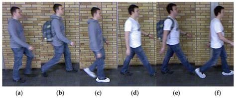 Applied Sciences | Special Issue : Biometric Identification Systems ...