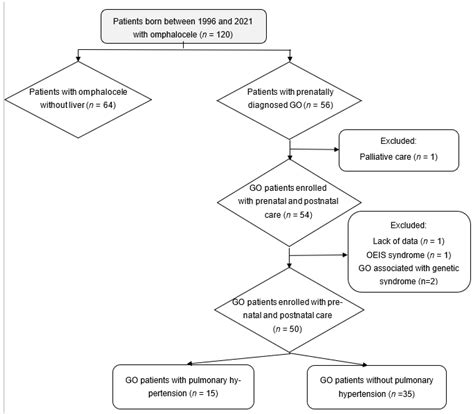 Systemic Inflammation Is Associated with Pulmonary Hypertension in ...