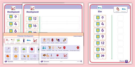 Science Sign Twinkl 的图像结果