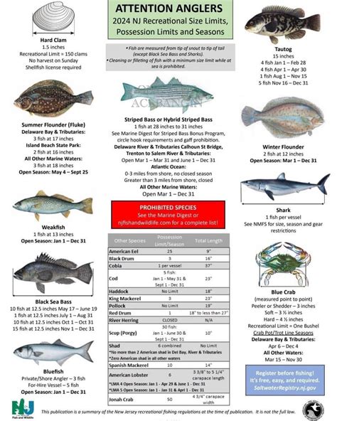 2024 NJ Saltwater Fishing Regulations | NJ Saltwater Fisherman