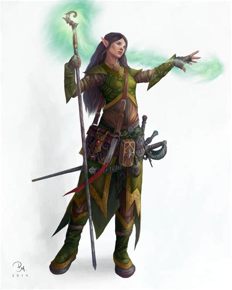 Image result for Elf Wizard