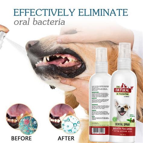 Noventis Natural Dental Spray Care 200 ml — Noventis Healthcare