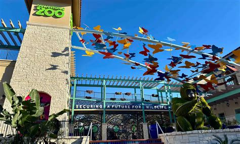 San Antonio, TX Deals, Coupons & Discounts | Groupon