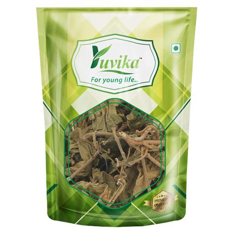 YUVIKA Gurmar Leaves - Gudmar Leaves - Gymnema Sylvestre - Periploca Of ...