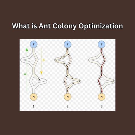 Image result for Ant colony optimization algorithms Applications