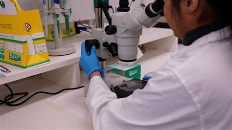 Image result for Skeletal Muscle Fiber Types