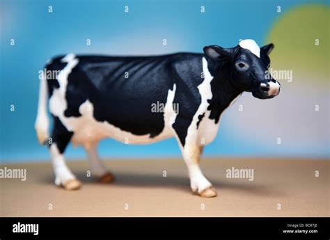 Advanced Model Cow Cattel Form 的图像结果