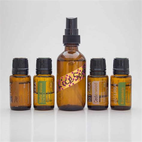 Homemade Lice Repellant - Full Green Life