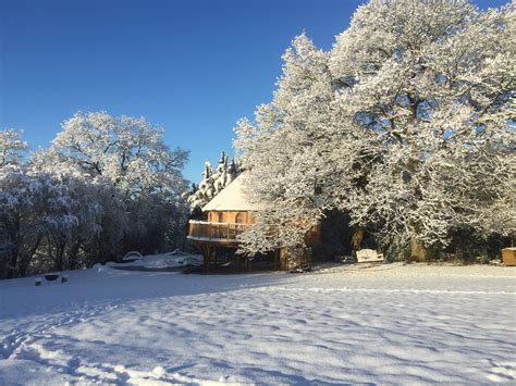 Image result for Backyardigans Treehouse Direct Winter
