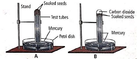 The given experimental set-up demonstrates - Tardigrade