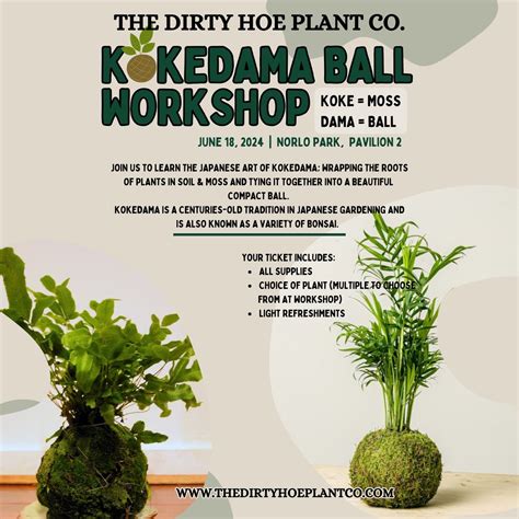 Kokedama Ball Workshop, Norlo Park, Fayetteville, 18 June 2024 ...