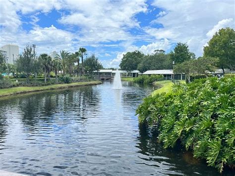 HILTON ORLANDO BUENA VISTA PALACE DISNEY SPRINGS AREA (Lake Buena Vista ...
