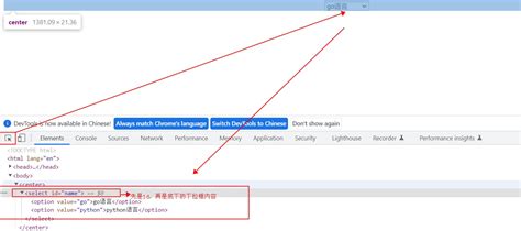 Selexity Script 的图像结果