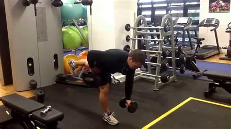 Image result for Contralateral Rows