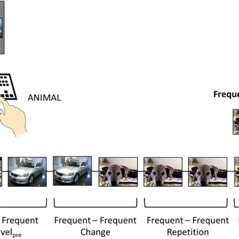 Image result for Experiment by Coding Examples