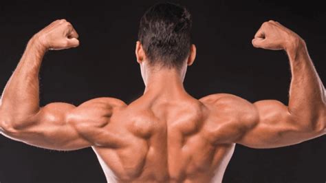 Want get strong muscles include 5 fruits daily diet | Muscles Building ...