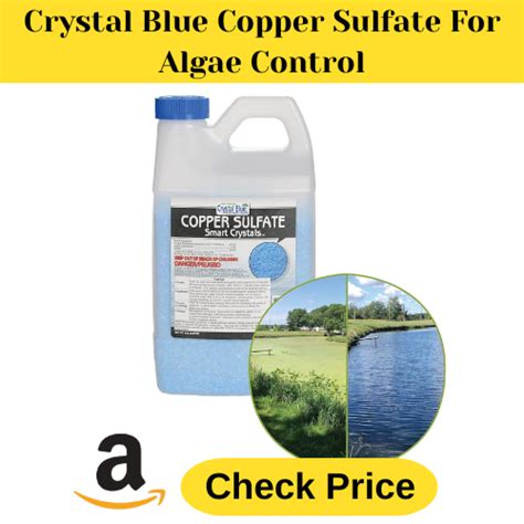 How to Drain a Intex 32 Above Ground Pool 的图像结果