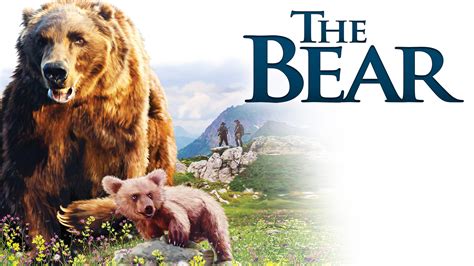 36 Facts about the movie The Bear - Facts.net