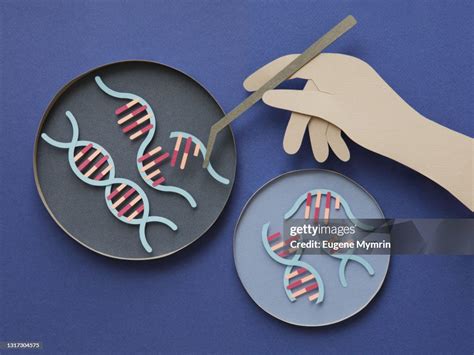 Genome Testing 的图像结果