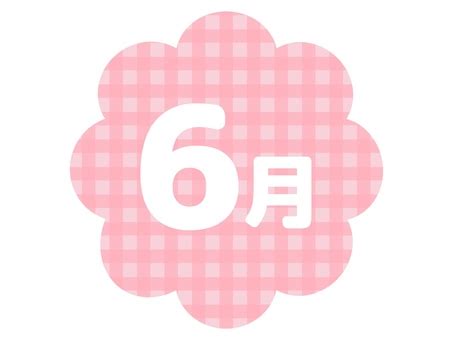 Image result for Layout Code for HTML
