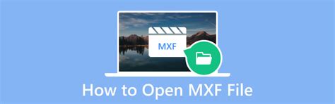 Open MXF File 的图像结果