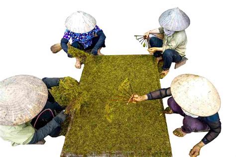 Low Code for Tea Manufacturing