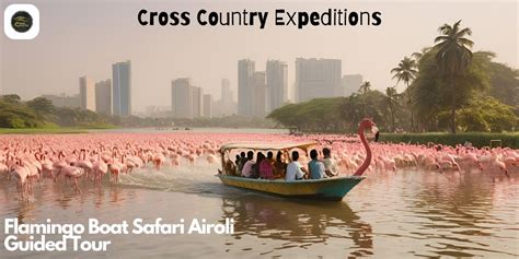 Flamingo Boat Tour
