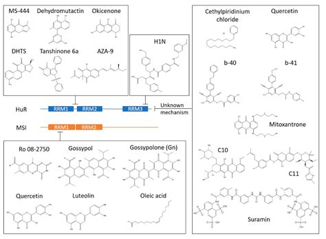 RNA-Targeted Therapies and High-Throughput Screening Methods