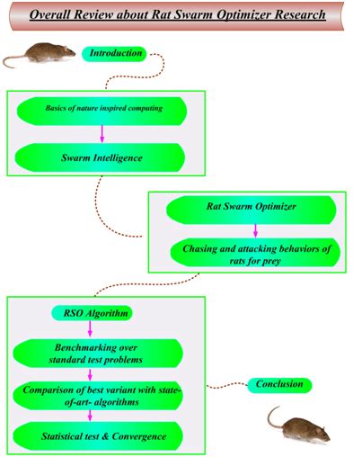 Image result for Swarm Intelligence Based Optimization Algorithm