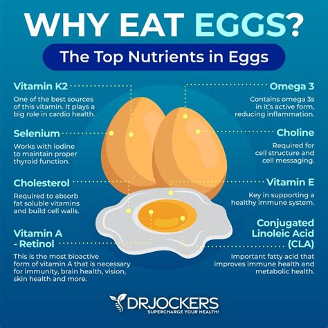 Is It Bad To Eat Eggs Everyday
