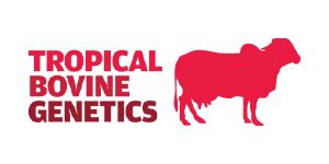 BrandWar - Web Development, Advertising, Video Production Agency