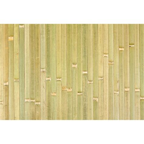 Buy Forever Bamboo 4 x 8 ft. Bamboo Wall Paneling Online at Lowest ...