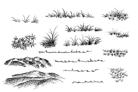 How To Draw Lines On Grass