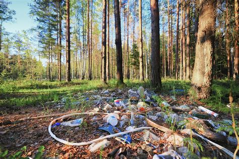 Litter: A Messy Problem Compromising Our Quality of Life | Don't Love ...
