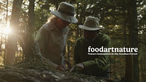 Nature Immersion in the Acadian Forest with Soft Pine Wellness, 230 ...