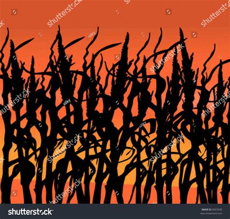 Corn Field Vector 的图像结果