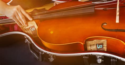 Image result for String Instruments Cello