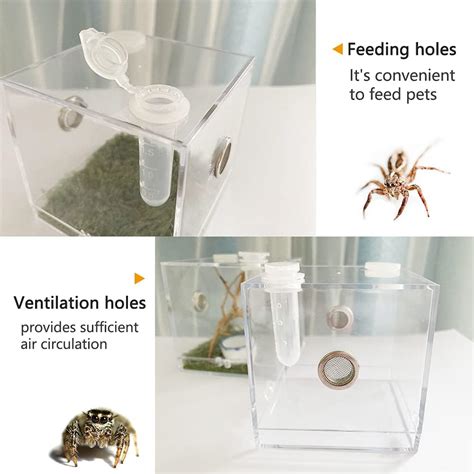 JOBEDE Jumping Spider Enclosure, Jumping Spider Habitat India | Ubuy