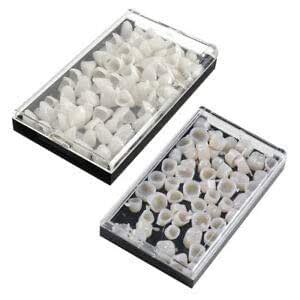 ELECTROPRIME 1Box for Anterior Teeth + 1 Box for Molar Dental Temporary ...