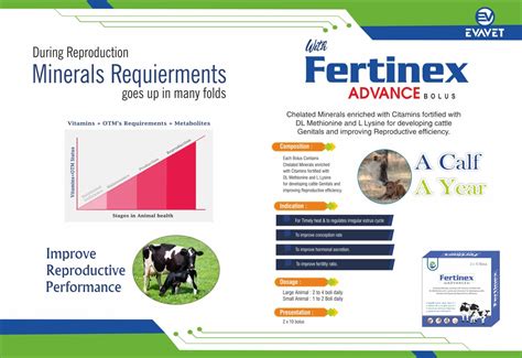 EVAVET HEALTHCARE PVT LTD – Our Innovation Your Health