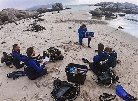 CAPE RADD (2026) All You Need to Know BEFORE You Go (with Photos ...