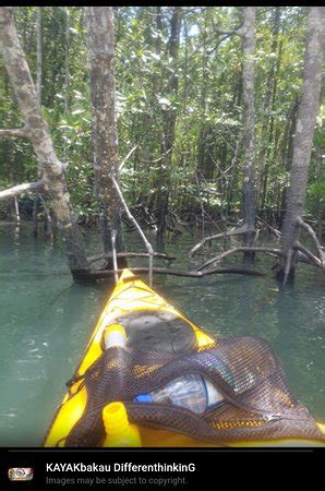 Kayak Bakau (Langkawi) - 2022 What to Know Before You Go (with Photos ...