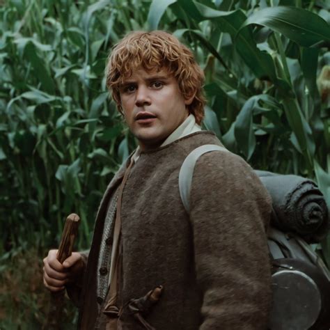 Best 12 Samwise gamgee – Artofit