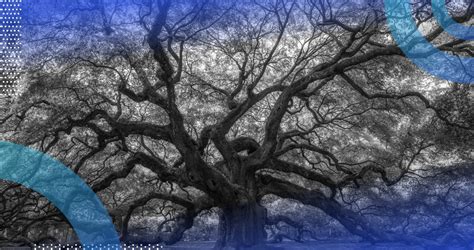 Image result for SQL Server B-tree Index