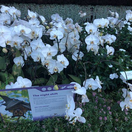 The Opera House to the Botanic Gardens Walk (Sydney) - 2018 What to ...