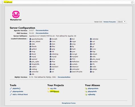 Image result for Web Localhost Server Erstellen